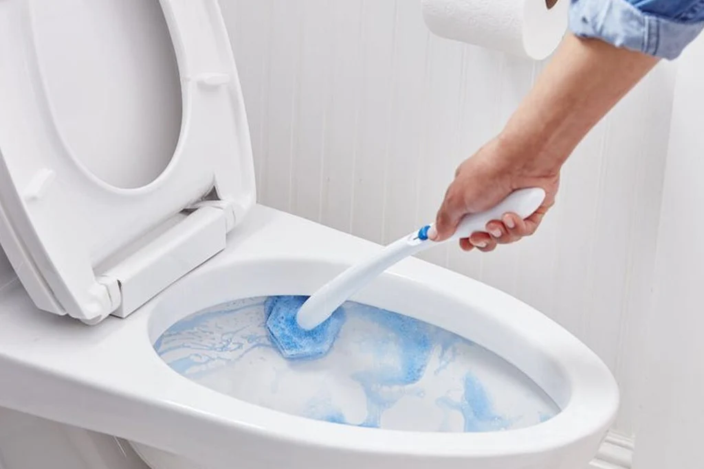 Toilet Disinfection