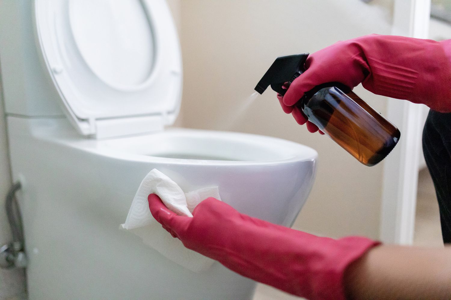 Toilet Cleaning